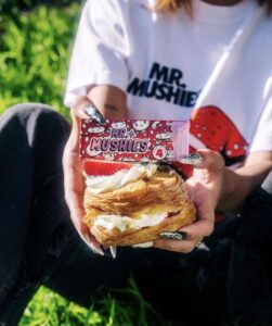 MR MUSHIES