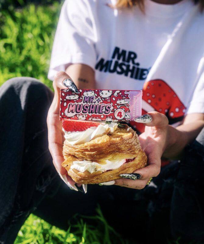 MR MUSHIES